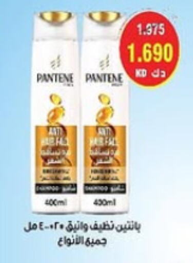 Hair Care in Al- Surra Cooperative Society, Kuwait Offers - Kuwait PANTENE Shampoo / Conditioner available at Al- Surra Cooperative Society in Kuwait - Jahra Governorate