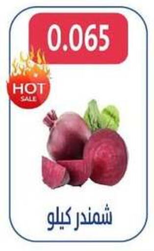شمندر available at جمعية الجهراء التعاونية in الكويت - محافظة الجهراء