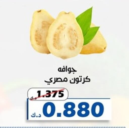 Guava available at Al Khaldiya Society  in Kuwait - Kuwait City