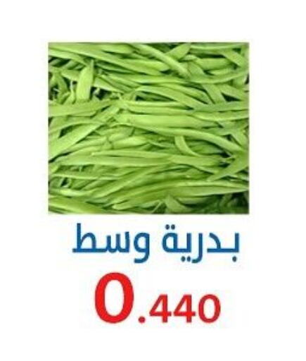 Fresh Vegetables in Al Sha'ab Co-op Society, Kuwait Offers - Kuwait available at Al Sha'ab Co-op Society in Kuwait - Kuwait City