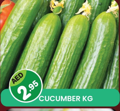 Fresh Vegetables in Fresh Spike Supermarket, UAE Offers - United Arab Emirates Cucumber available at Fresh Spike Supermarket in UAE - Dubai