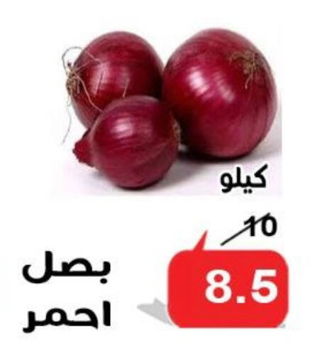 Fresh Vegetables in Aldoneia Bkheir ismailia , Egypt Offers - Egypt Onion available at Aldoneia Bkheir ismailia in Egypt - Cairo