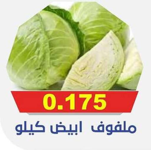 Cabbage available at Al-salam Co-operative Society in Kuwait - Kuwait City