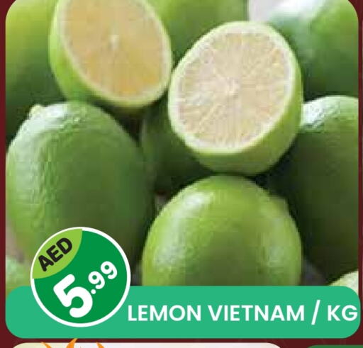 فاكهة طازجة in سنابل بني ياس, UAE Offers - الإمارات العربية المتحدة Lemon from Vietnam available at سنابل بني ياس in الإمارات العربية المتحدة , الامارات - الشارقة / عجمان