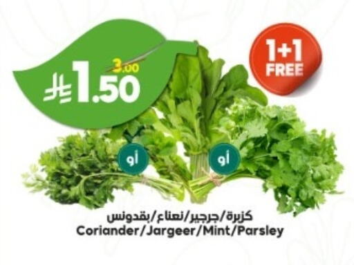 Coriander Mint Parsley available at Dukan in KSA, Saudi Arabia, Saudi - Ta'if