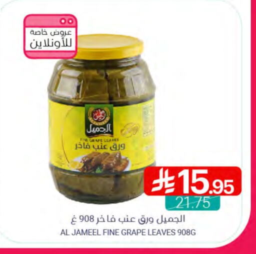 available at اسواق المنتزه in مملكة العربية السعودية, السعودية, سعودية - القطيف‎