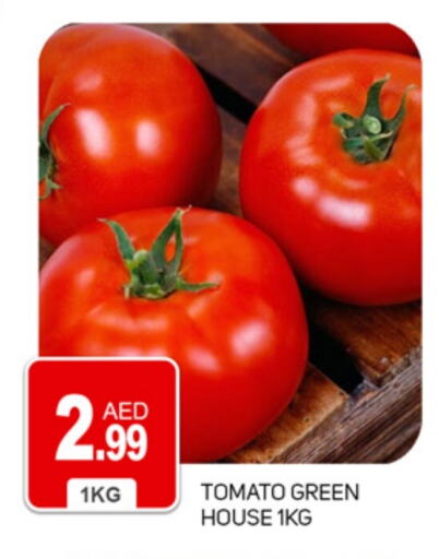 Tomato available at TALAL MARKET in UAE - Dubai