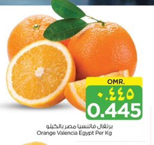 فاكهة طازجة in نستو هايبر ماركت, عُمان Offers - عُمان برتقال from Egypt available at نستو هايبر ماركت in عُمان - صلالة