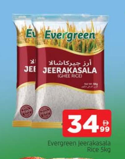 Jeerakasala Rice available at AL MADINA in UAE - Sharjah / Ajman