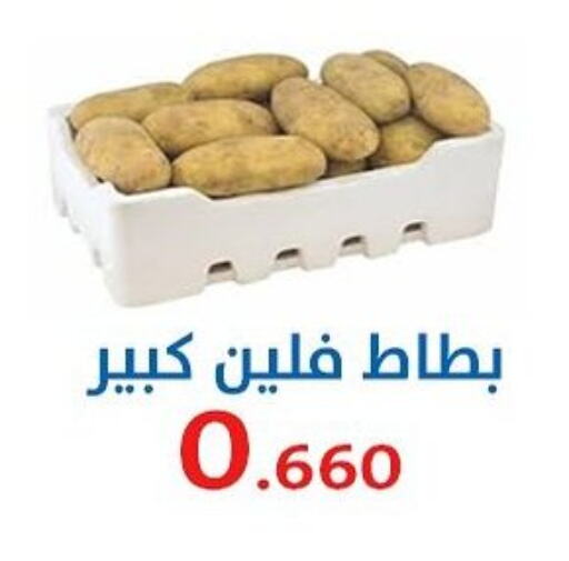 Fresh Vegetables in Al Sha'ab Co-op Society, Kuwait Offers - Kuwait available at Al Sha'ab Co-op Society in Kuwait - Kuwait City