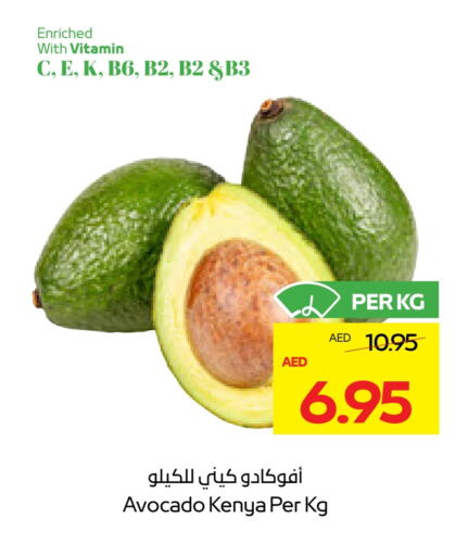 Avocado available at ADCOOP in UAE - Ras al Khaimah