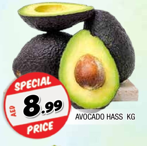 أفوكادو available at المدينة in الإمارات العربية المتحدة , الامارات - الشارقة / عجمان