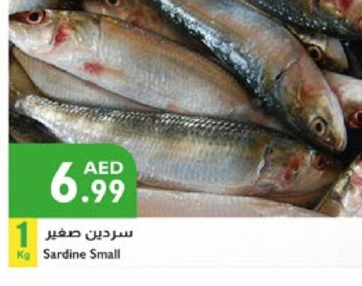 الأسماك الطازجة in إسطنبول سوبرماركت, UAE Offers - الإمارات العربية المتحدة available at إسطنبول سوبرماركت in الإمارات العربية المتحدة , الامارات - أبو ظبي