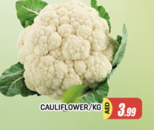 قرنبيط available at المدينة in الإمارات العربية المتحدة , الامارات - الشارقة / عجمان