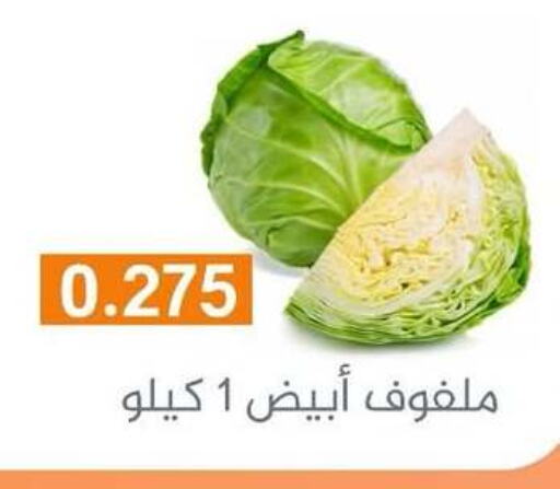 Cabbage available at Al Rumaithya Co-Op  in Kuwait - Kuwait City