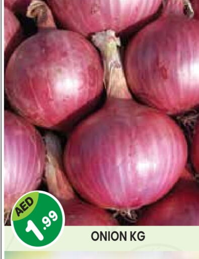 بصل available at سنابل بني ياس in الإمارات العربية المتحدة , الامارات - أبو ظبي
