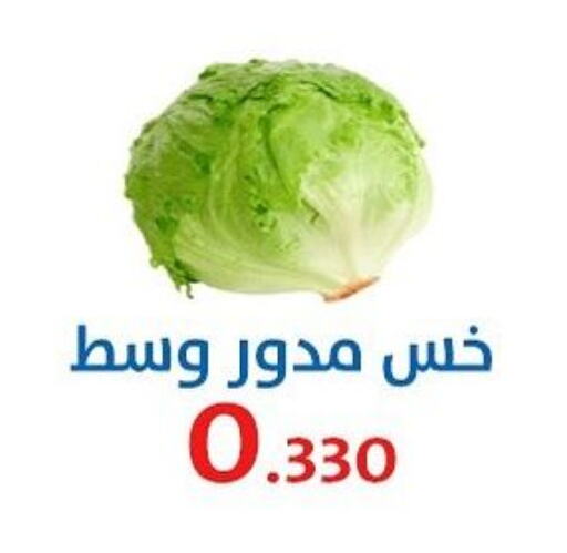 Fresh Vegetables in Al Sha'ab Co-op Society, Kuwait Offers - Kuwait available at Al Sha'ab Co-op Society in Kuwait - Kuwait City