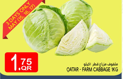 Cabbage from Qatar available at Food Palace Hypermarket in Qatar - Umm Salal