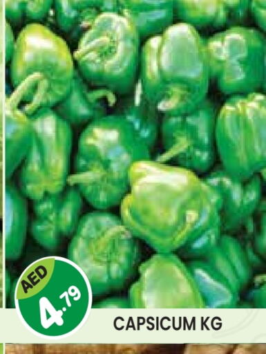 Chilli / Capsicum available at Baniyas Spike  in UAE - Abu Dhabi