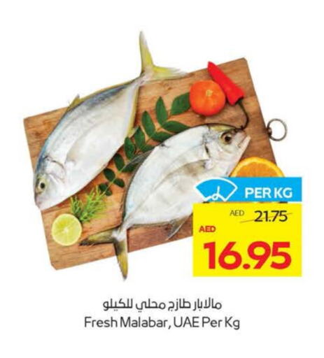 الأسماك الطازجة in ميغا مارت سوبر ماركت, UAE Offers - الإمارات العربية المتحدة available at ميغا مارت سوبر ماركت in الإمارات العربية المتحدة , الامارات - دبي
