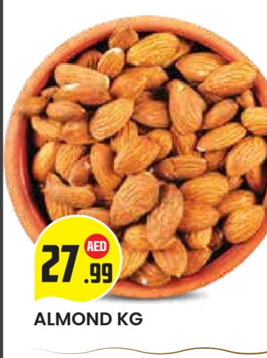available at سنابل بني ياس in الإمارات العربية المتحدة , الامارات - ٱلْعَيْن‎