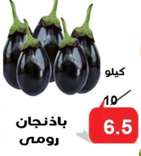 Fresh Vegetables in Aldoneia Bkheir ismailia , Egypt Offers - Egypt available at Aldoneia Bkheir ismailia in Egypt - Cairo