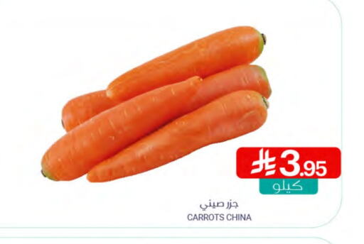 جزر from China available at اسواق المنتزه in مملكة العربية السعودية, السعودية, سعودية - القطيف‎