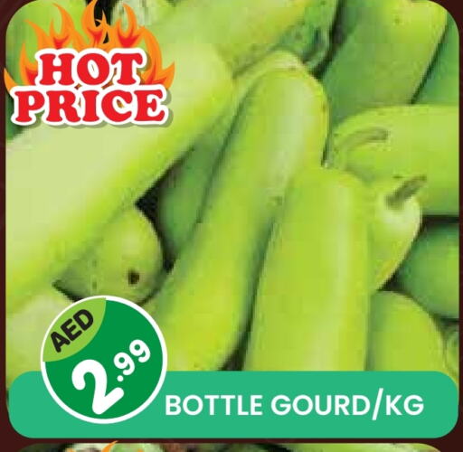 Fresh Vegetables in Baniyas Spike , UAE Offers - United Arab Emirates Gourd available at Baniyas Spike in UAE - Sharjah / Ajman