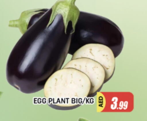 available at AL MADINA in UAE - Sharjah / Ajman