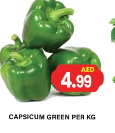 Chilli / Capsicum available at Gulf Hypermarket LLC in UAE - Ras al Khaimah