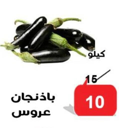 Fresh Vegetables in Aldoneia Bkheir ismailia , Egypt Offers - Egypt available at Aldoneia Bkheir ismailia in Egypt - Cairo