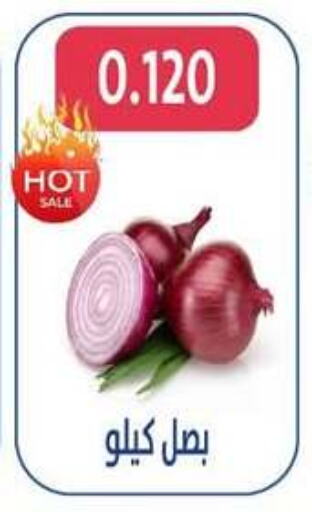 Onion available at Al Jahra Cooperative Society in Kuwait - Jahra Governorate