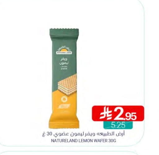 Lemon available at اسواق المنتزه in مملكة العربية السعودية, السعودية, سعودية - سيهات
