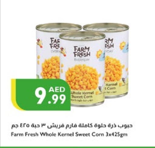 أغذية معلبة ومغلفة in إسطنبول سوبرماركت, UAE Offers - الإمارات العربية المتحدة available at إسطنبول سوبرماركت in الإمارات العربية المتحدة , الامارات - ٱلْعَيْن