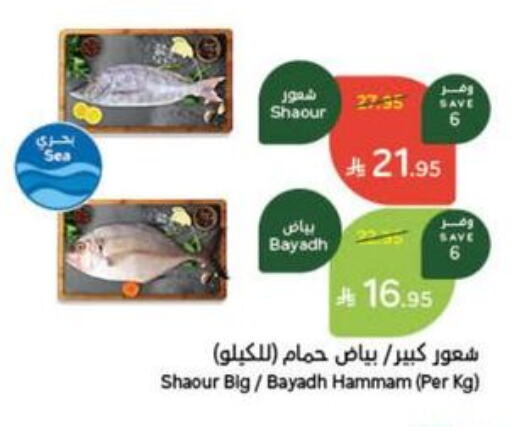 Fresh Fish in Hyper Panda, Saudi Arabia Offers - Saudi Arabia available at Hyper Panda in KSA, Saudi Arabia, Saudi - Najran