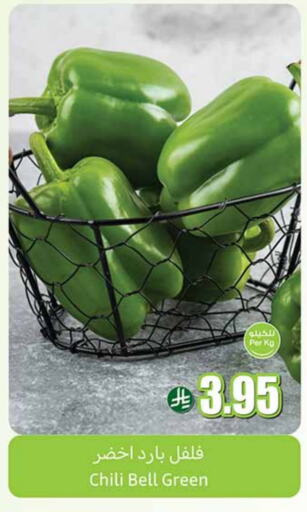 Chilli / Capsicum available at Othaim Markets in KSA, Saudi Arabia, Saudi - Mecca