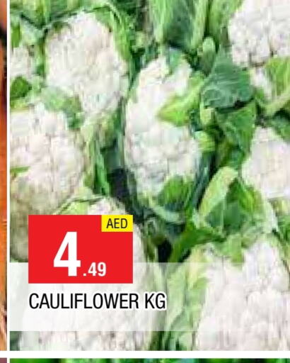 قرنبيط available at المدينة in الإمارات العربية المتحدة , الامارات - الشارقة / عجمان