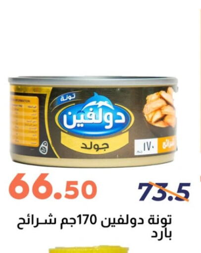Tuna - Canned available at Ghallab Market in Egypt - Cairo