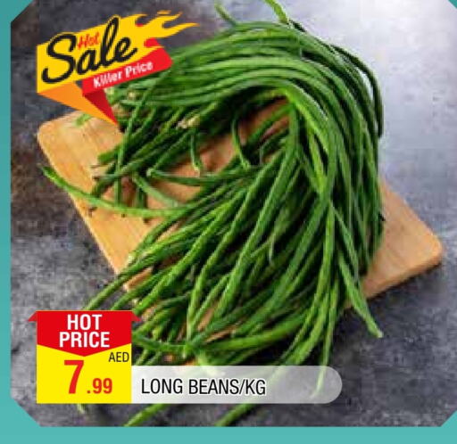 Beans available at AL MADINA in UAE - Sharjah / Ajman