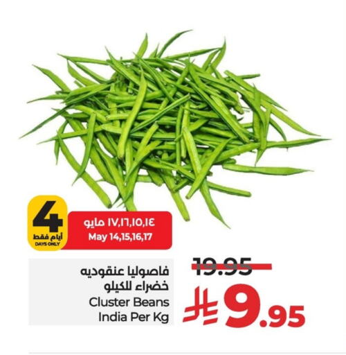 فاصوليا from India available at لولو هايبرماركت in مملكة العربية السعودية, السعودية, سعودية - سيهات