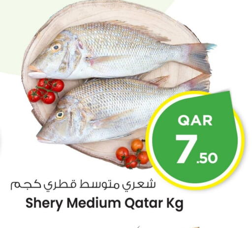 available at Mark & Save  in Qatar - Al Khor