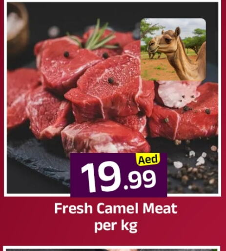 لحم حاشي available at مبارك هايبرماركت الشارقة in الإمارات العربية المتحدة , الامارات - الشارقة / عجمان