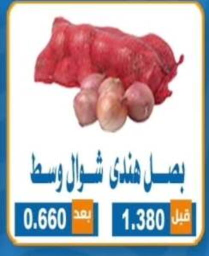 بصل available at جمعية ضاحية الشهداء التعاونية in الكويت - محافظة الأحمدي