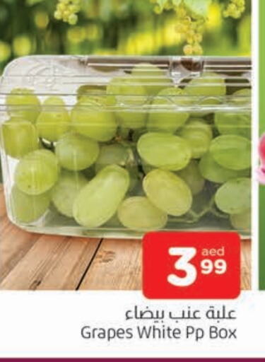 عنب available at المدينة in الإمارات العربية المتحدة , الامارات - الشارقة / عجمان