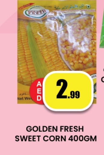 Canned & Packeted in Zain Mart Supermarket, UAE Offers - United Arab Emirates available at Zain Mart Supermarket in UAE - Ras al Khaimah