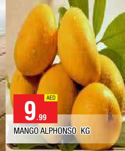 زيبا زيبا available at المدينة in الإمارات العربية المتحدة , الامارات - الشارقة / عجمان