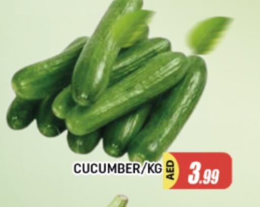 خيار available at المدينة in الإمارات العربية المتحدة , الامارات - الشارقة / عجمان