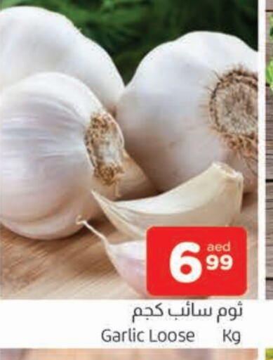 ثوم available at المدينة in الإمارات العربية المتحدة , الامارات - الشارقة / عجمان