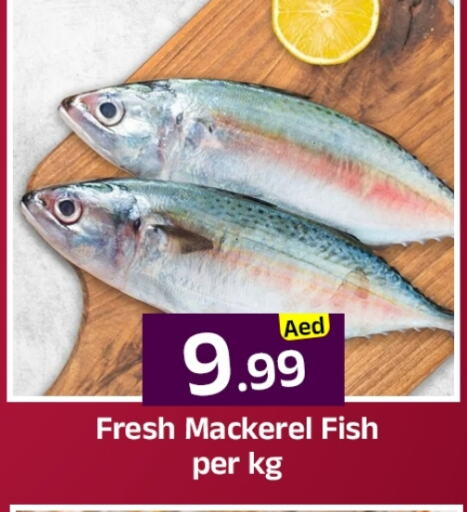 الأسماك الطازجة in مبارك هايبرماركت الشارقة, UAE Offers - الإمارات العربية المتحدة available at مبارك هايبرماركت الشارقة in الإمارات العربية المتحدة , الامارات - الشارقة / عجمان