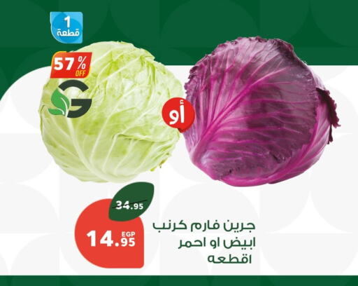 كرنب available at بنده in Egypt - القاهرة